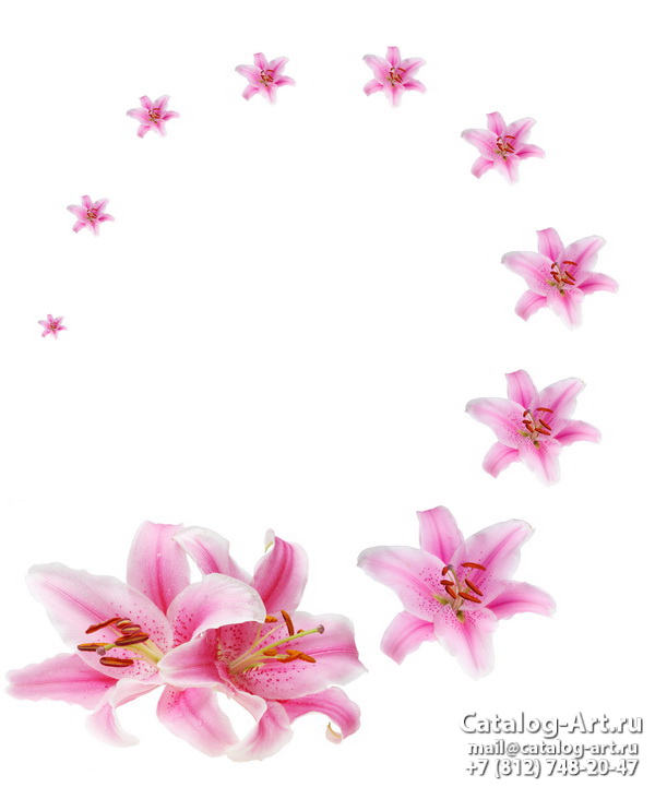 Pink lilies 8